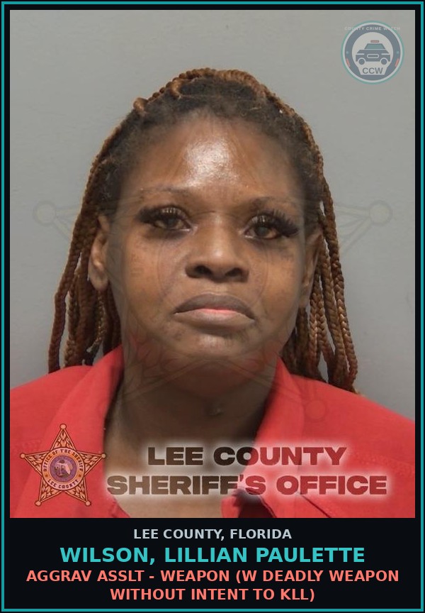 Booking mugshot of WILSON, LILLIAN PAULETTE in Lee County