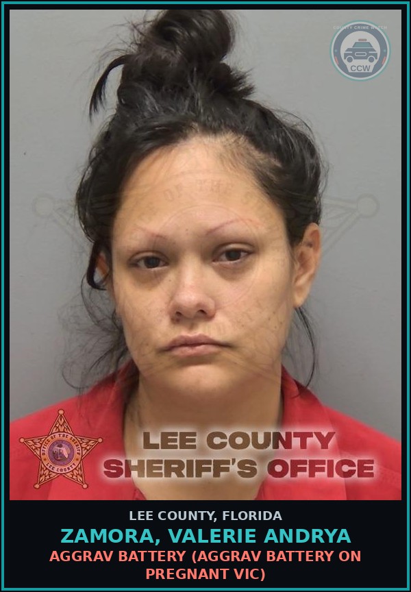 Booking mugshot of ZAMORA, VALERIE ANDRYA in Lee County