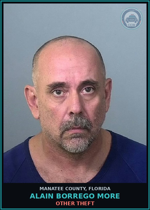 Booking mugshot of ALAIN BORREGO MORE in Manatee County