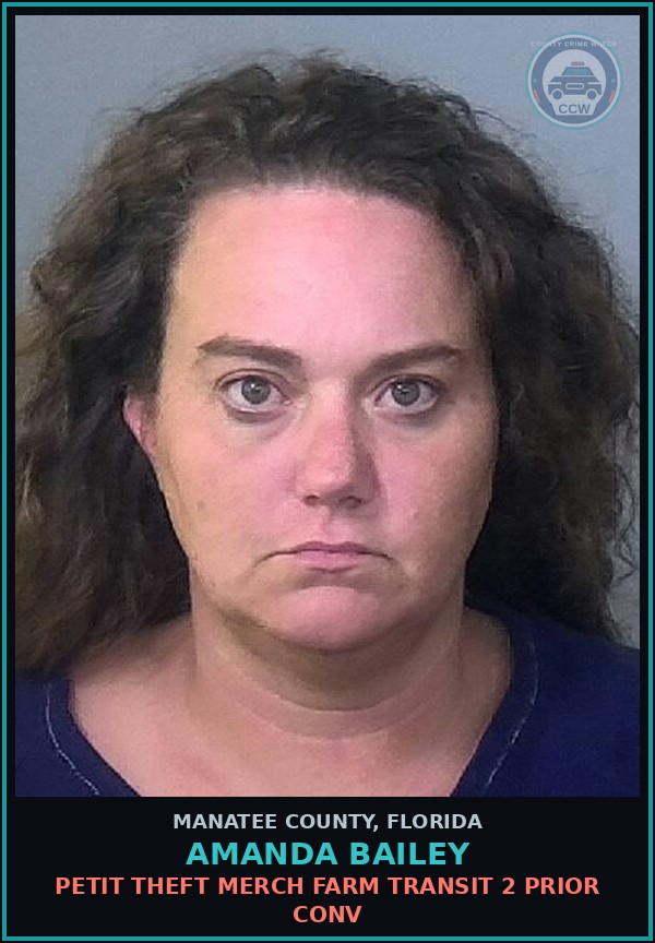 Booking mugshot of AMANDA BAILEY in Manatee County