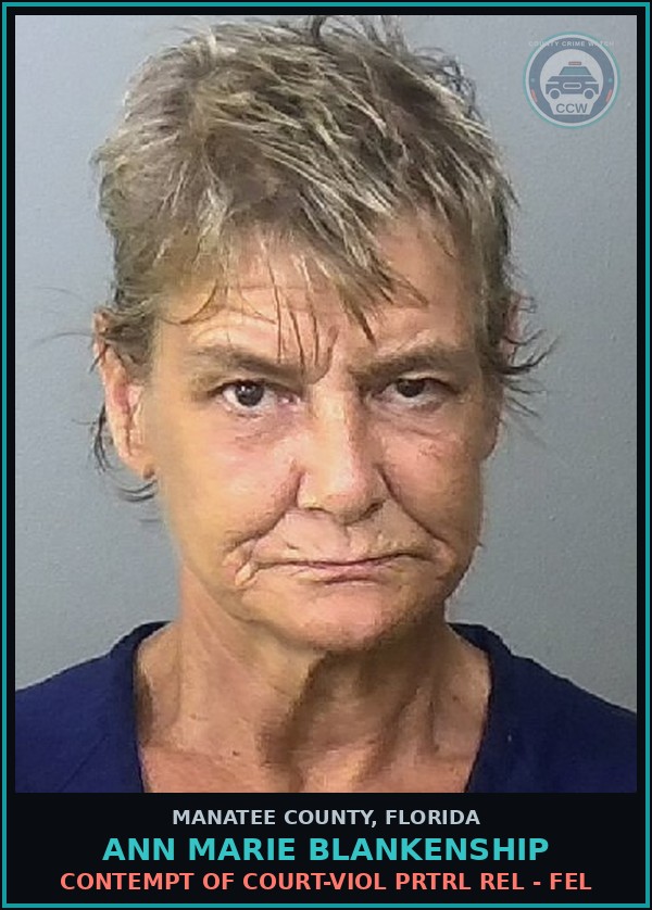Booking mugshot of ANN MARIE BLANKENSHIP in Manatee County