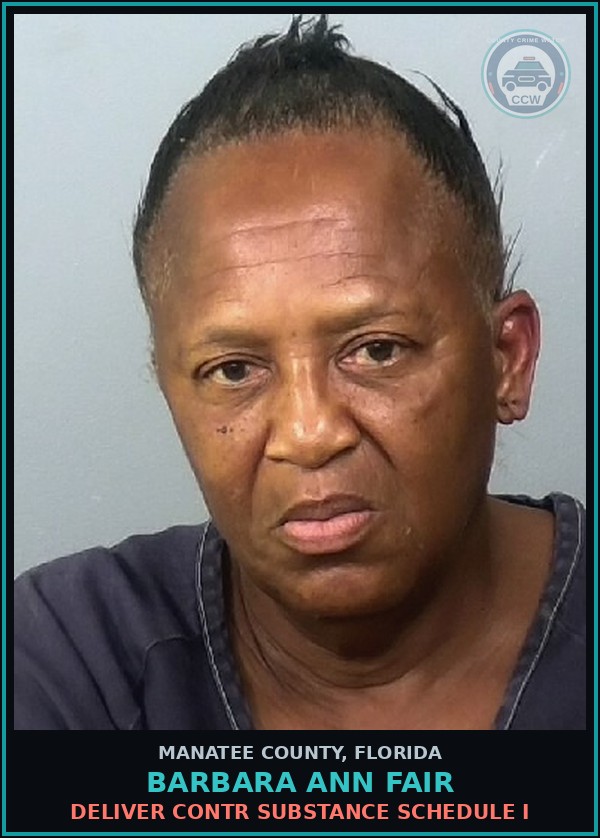 Booking mugshot of BARBARA ANN FAIR in Manatee County