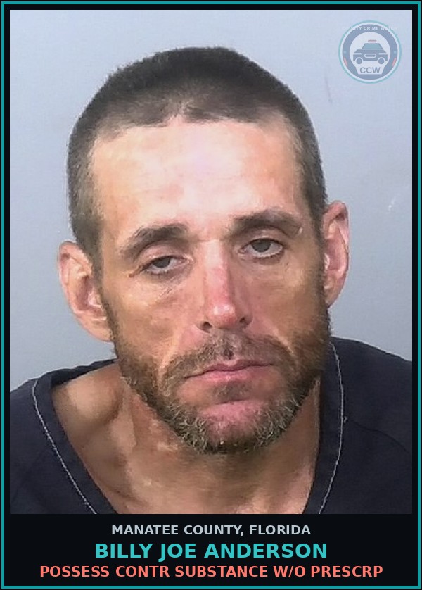 Booking mugshot of BILLY JOE ANDERSON in Manatee County