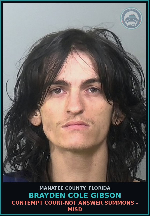 Booking mugshot of BRAYDEN COLE GIBSON in Manatee County