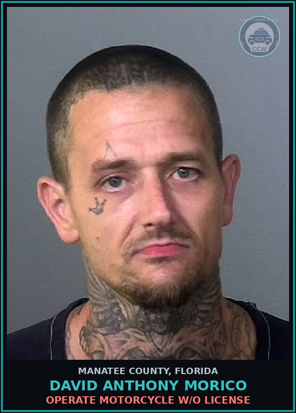 Booking mugshot of DAVID ANTHONY MORICO in Manatee County