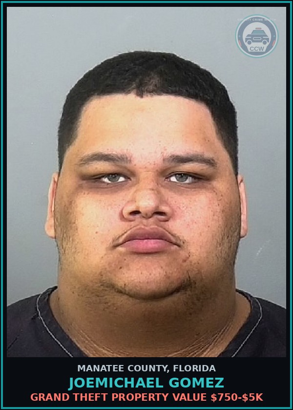 Booking mugshot of JOEMICHAEL GOMEZ in Manatee County