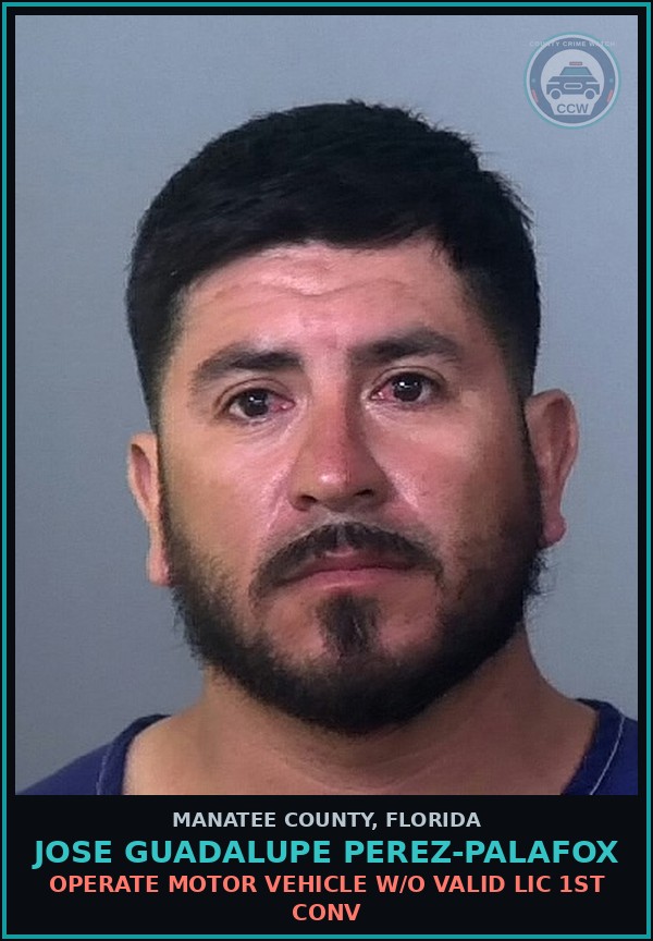 Booking mugshot of JOSE GUADALUPE PEREZ-PALAFOX in Manatee County