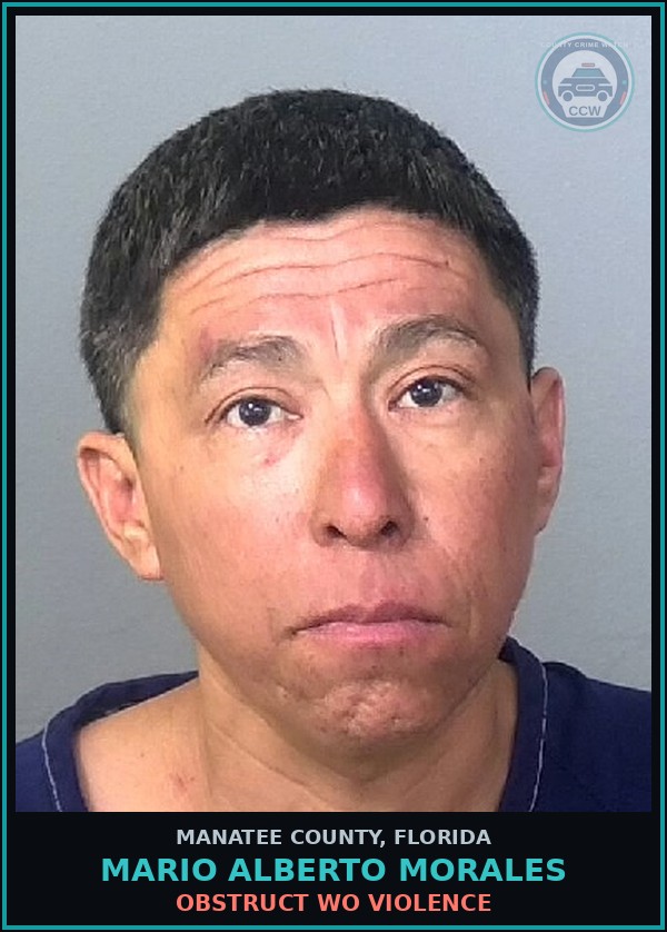 Booking mugshot of MARIO ALBERTO MORALES in Manatee County