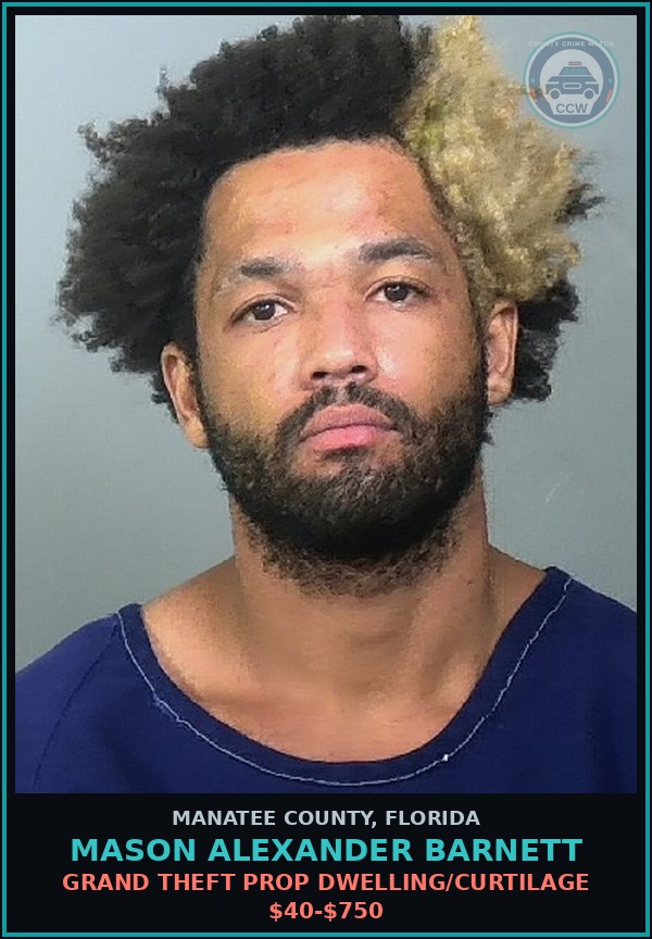 Booking mugshot of MASON ALEXANDER BARNETT in Manatee County