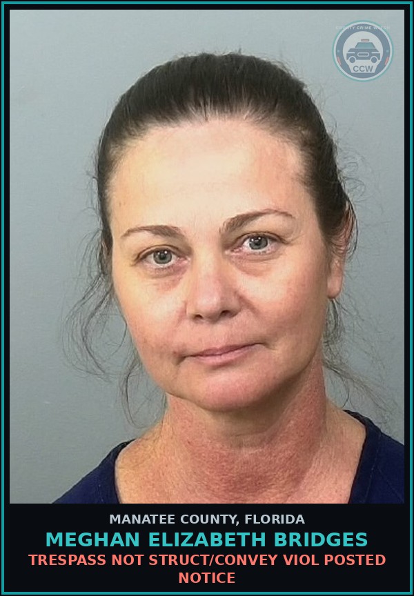 Booking mugshot of MEGHAN ELIZABETH BRIDGES in Manatee County