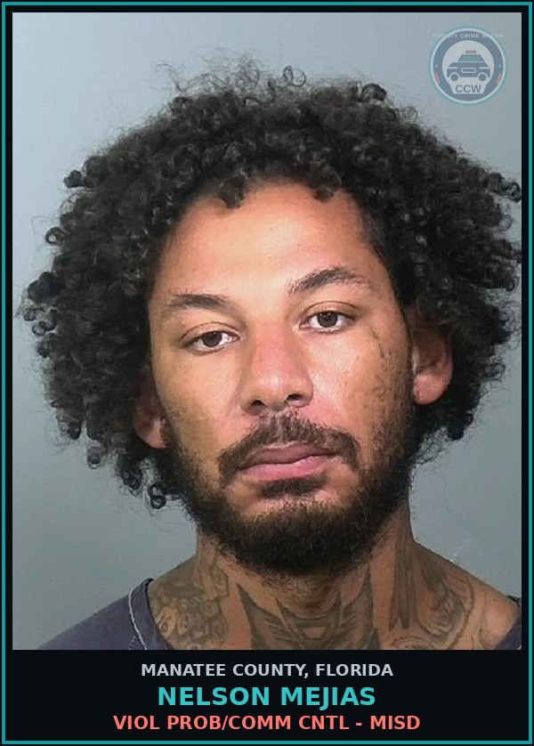 Booking mugshot of NELSON MEJIAS in Manatee County