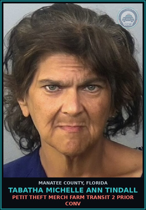 Booking mugshot of TABATHA MICHELLE ANN TINDALL in Manatee County