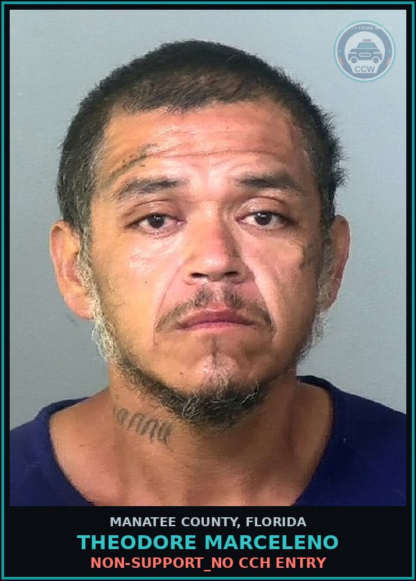 Booking mugshot of THEODORE MARCELENO in Manatee County