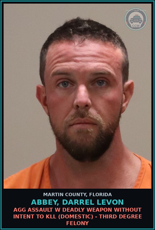 Booking mugshot of ABBEY, DARREL LEVON in Martin County