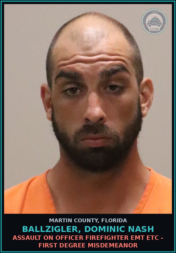 Booking mugshot of BALLZIGLER, DOMINIC NASH in Martin County