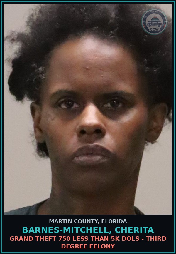Booking mugshot of BARNES-MITCHELL, CHERITA in Martin County