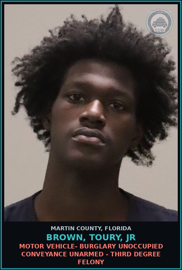 Booking mugshot of BROWN, TOURY, Jr in Martin County