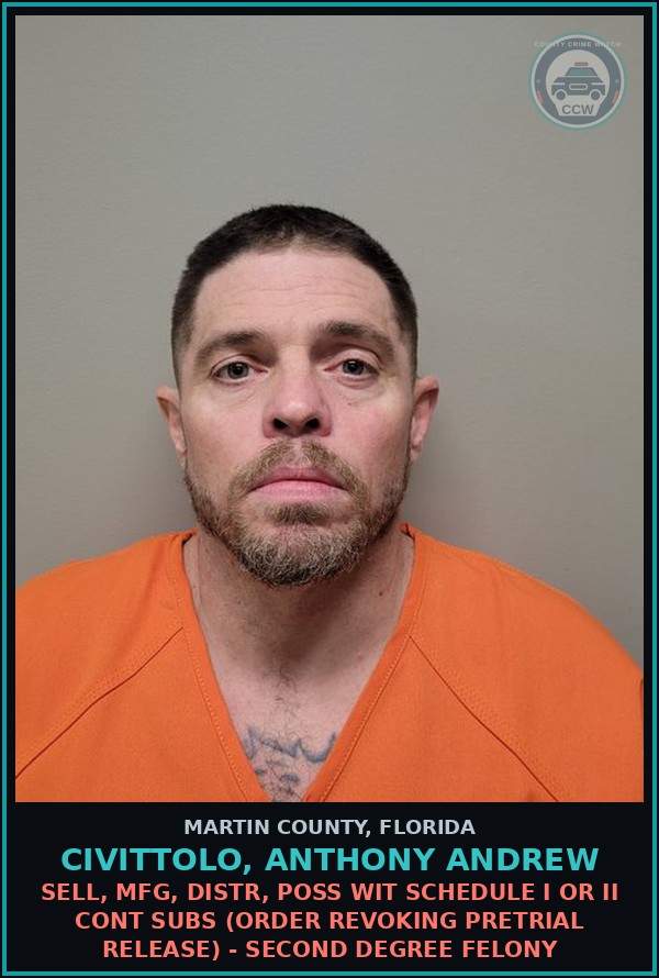 Booking mugshot of CIVITTOLO, ANTHONY ANDREW in Martin County