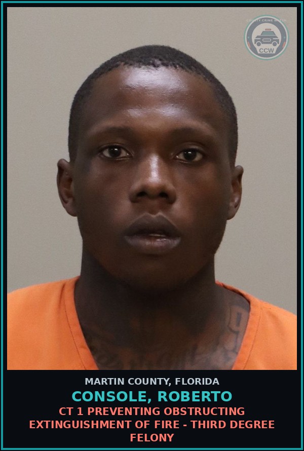 Booking mugshot of CONSOLE, ROBERTO in Martin County