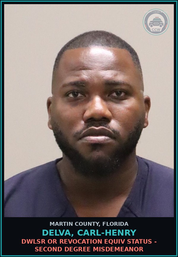 Booking mugshot of DELVA, CARL-HENRY in Martin County