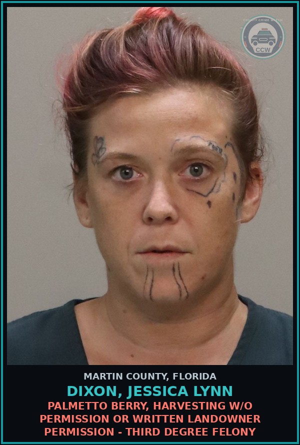 Booking mugshot of DIXON, JESSICA LYNN in Martin County
