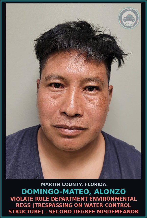 Booking mugshot of DOMINGO-MATEO, ALONZO in Martin County