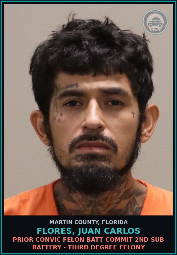 Booking mugshot of FLORES, JUAN CARLOS in Martin County