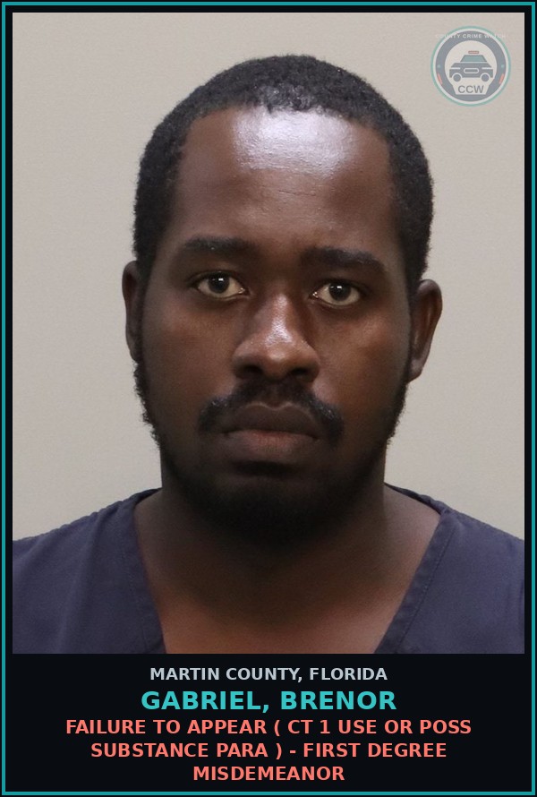Booking mugshot of GABRIEL, BRENOR in Martin County