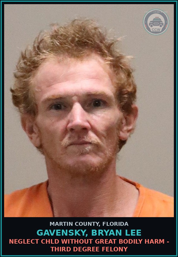Booking mugshot of GAVENSKY, BRYAN LEE in Martin County