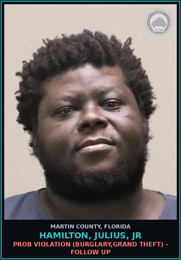 Booking mugshot of HAMILTON, JULIUS, Jr in Martin County