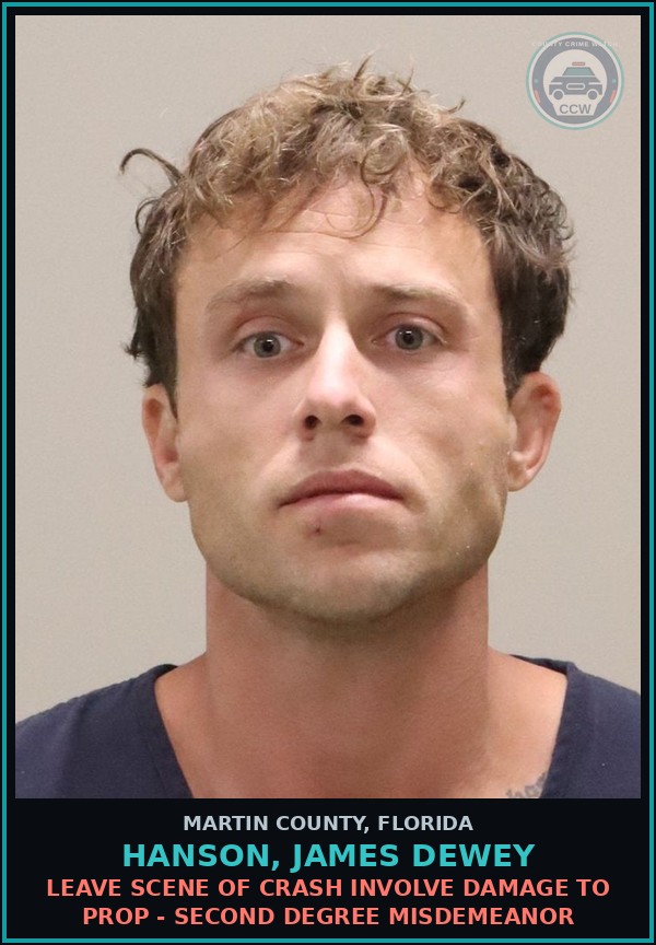 Booking mugshot of HANSON, JAMES DEWEY in Martin County