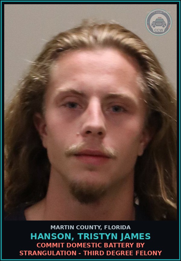 Booking mugshot of HANSON, TRISTYN JAMES in Martin County