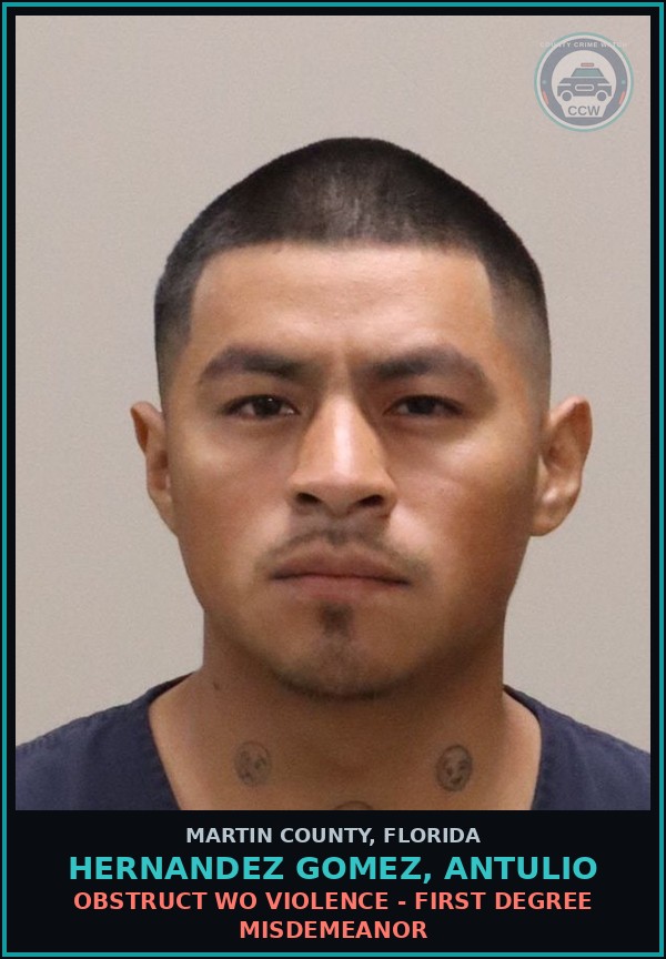 Booking mugshot of HERNANDEZ GOMEZ, ANTULIO in Martin County