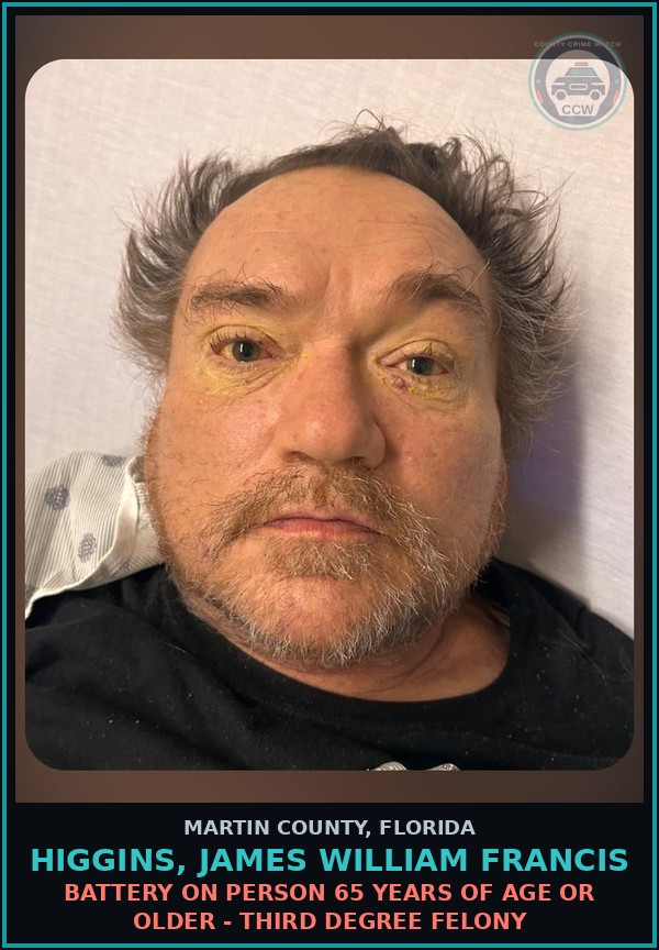 Booking mugshot of Higgins, JAMES William Francis in Martin County
