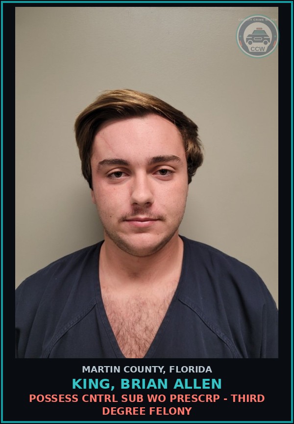 Booking mugshot of KING, BRIAN ALLEN in Martin County