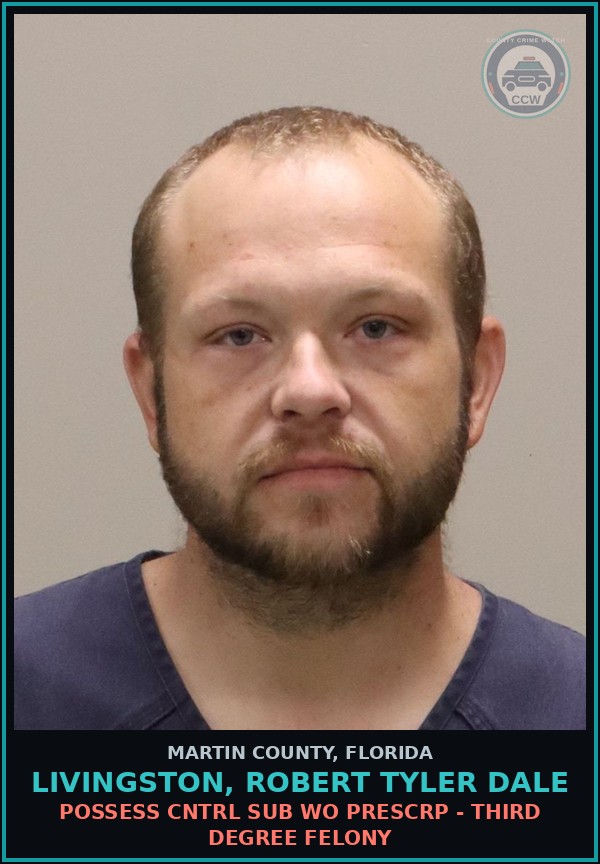 Booking mugshot of LIVINGSTON, ROBERT TYLER DALE in Martin County
