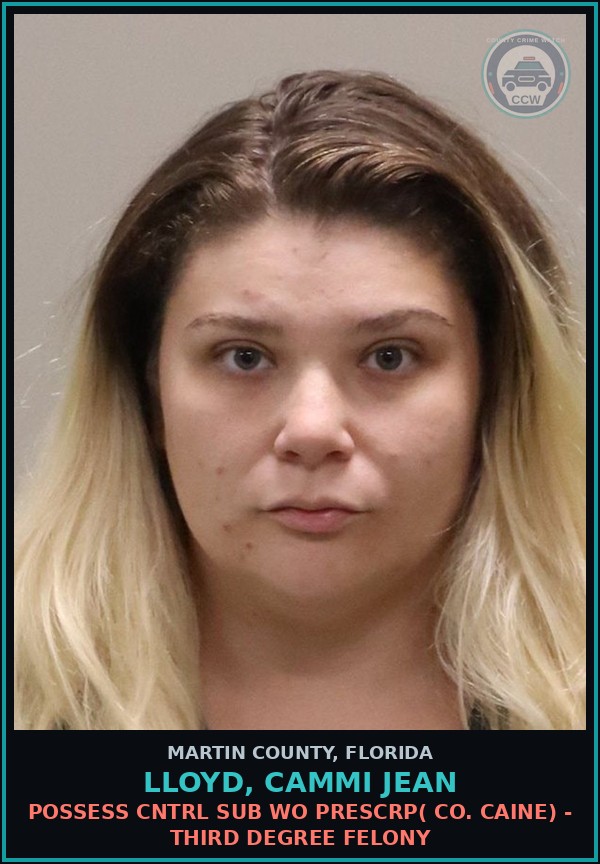 Booking mugshot of LLOYD, CAMMI JEAN in Martin County