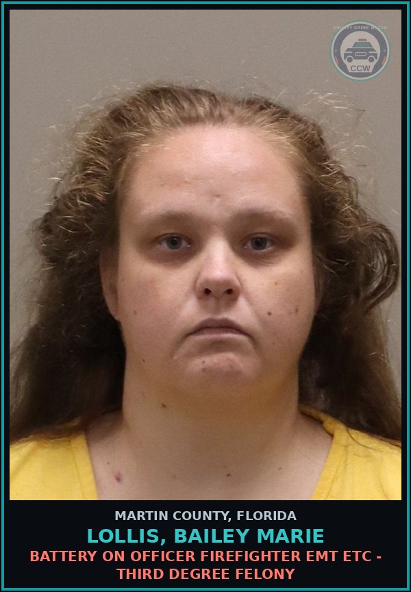 Booking mugshot of LOLLIS, BAILEY MARIE in Martin County