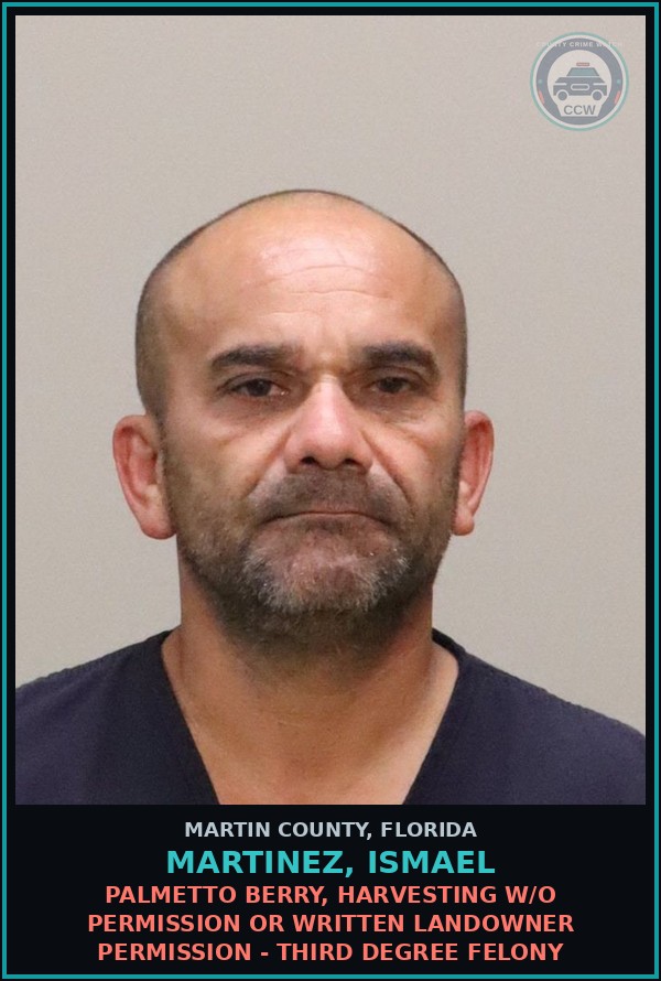 Booking mugshot of MARTINEZ, ISMAEL in Martin County