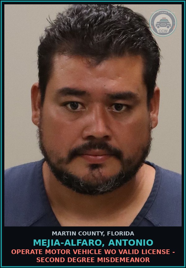 Booking mugshot of MEJIA-ALFARO, ANTONIO in Martin County
