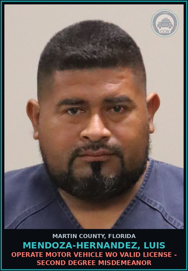 Booking mugshot of MENDOZA-HERNANDEZ, LUIS in Martin County