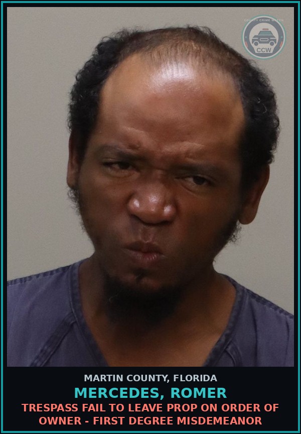 Booking mugshot of MERCEDES, ROMER in Martin County