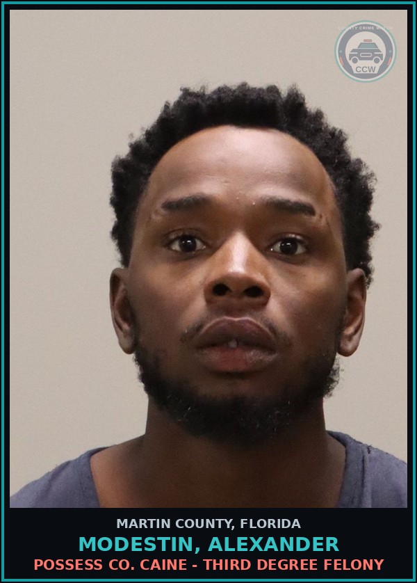 Booking mugshot of MODESTIN, ALEXANDER in Martin County