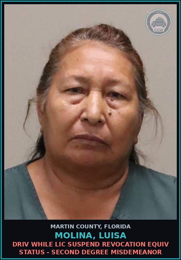 Booking mugshot of MOLINA, LUISA in Martin County