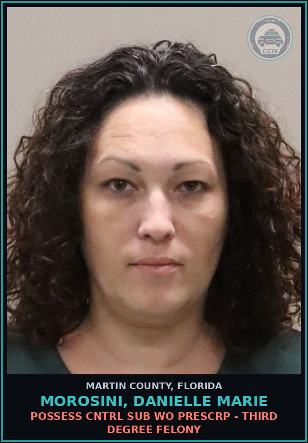 Booking mugshot of MOROSINI, DANIELLE MARIE in Martin County