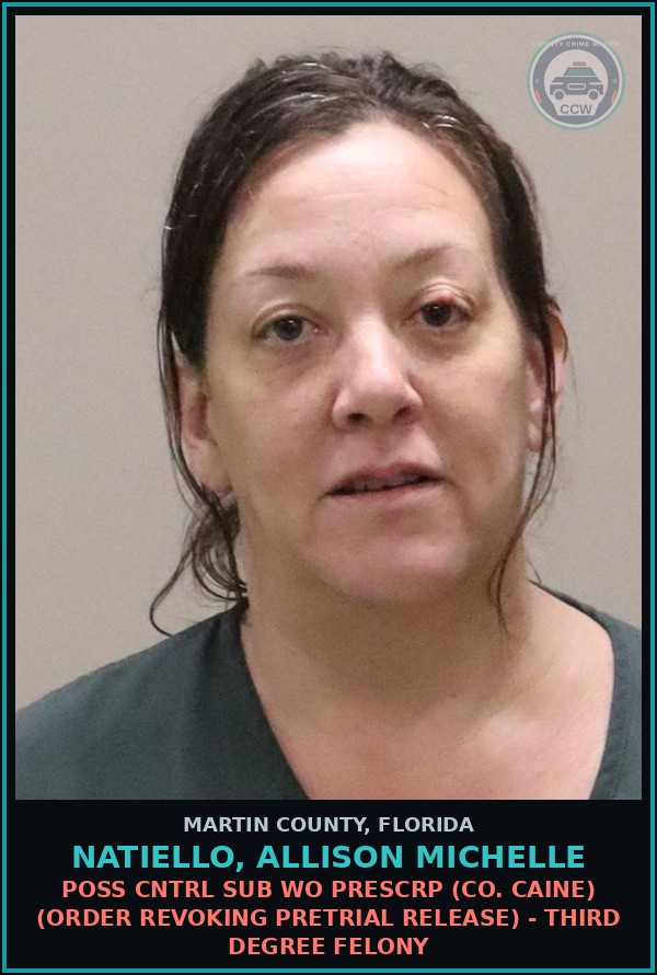Booking mugshot of NATIELLO, ALLISON MICHELLE in Martin County