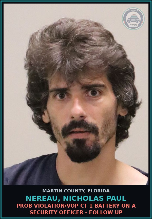 Booking mugshot of NEREAU, NICHOLAS PAUL in Martin County