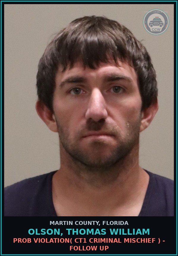 Booking mugshot of OLSON, THOMAS WILLIAM in Martin County