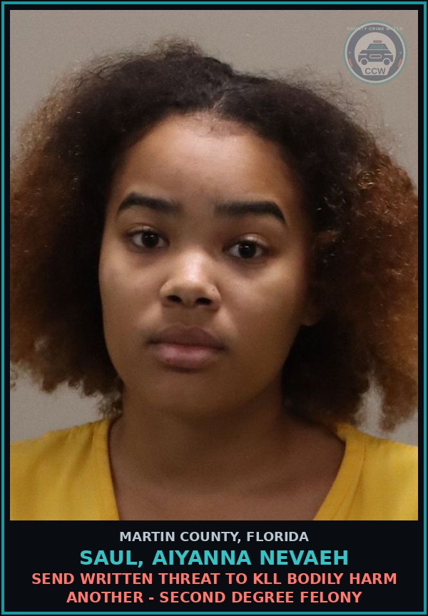 Booking mugshot of SAUL, AIYANNA NEVAEH in Martin County