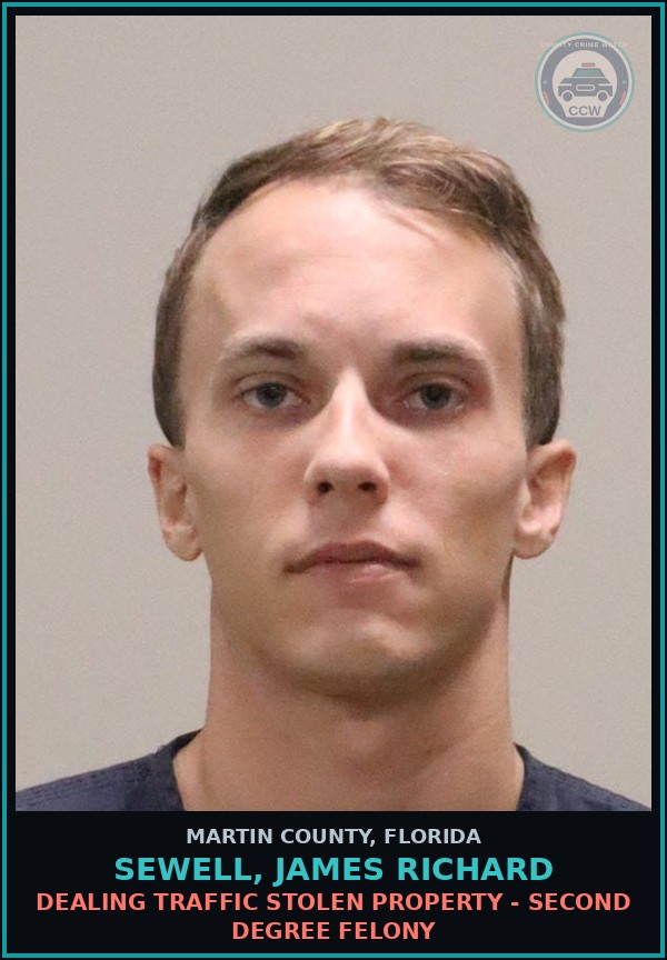 Booking mugshot of SEWELL, JAMES RICHARD in Martin County